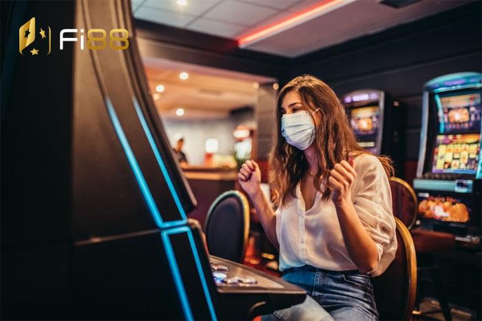 Khám phá thế giới đá gà miền Tây Bến Tre hấp dẫn và kịch tính