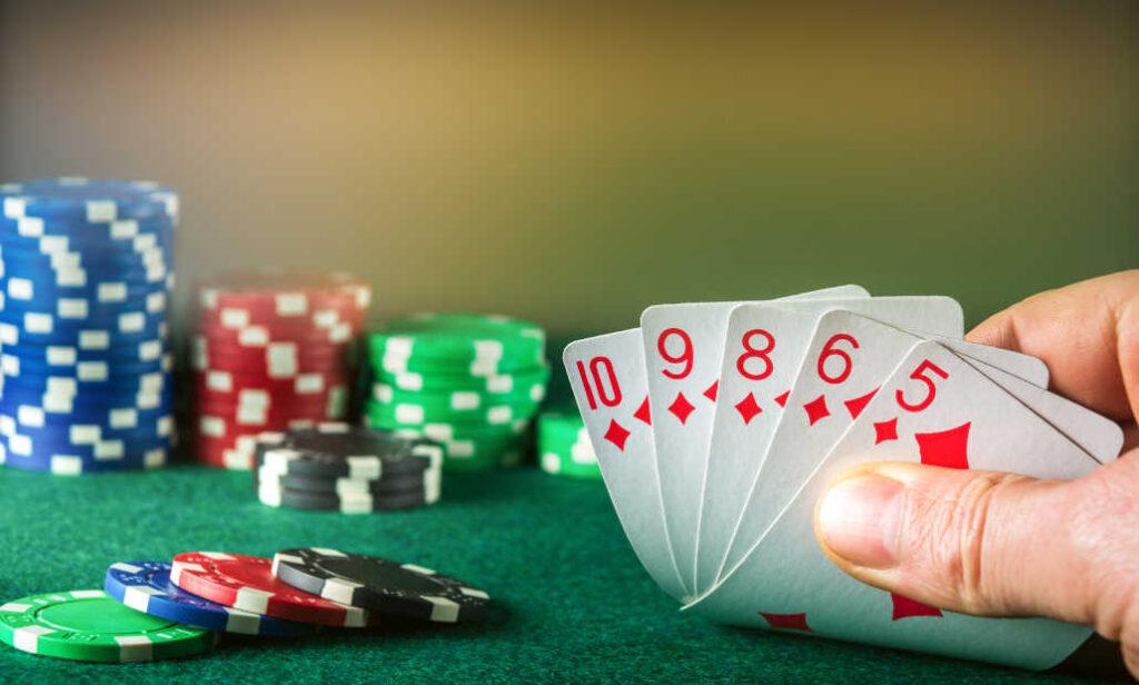 Kinh nghiệm tham gia đá gà bên Cam an toàn và hiệu quả cho người mới